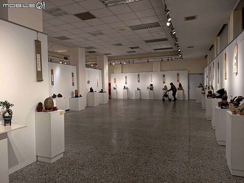 嘉義市立美術館、嘉義文化創意產業園區、嘉義城隍廟、嘉義市郵便局、文化路夜市，外掛美味可口的林聰明沙鍋魚頭、還有繁花似錦的臺南白河蓮花公園 — 2026 端午連假次日遊