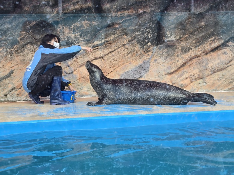 三重縣 伊勢海洋樂園 今天來點不一樣的水族館吧