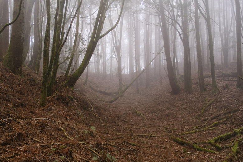 【哈加縱走】極具挑戰的中級山縱走路線 | 哈堪尼山.加里山