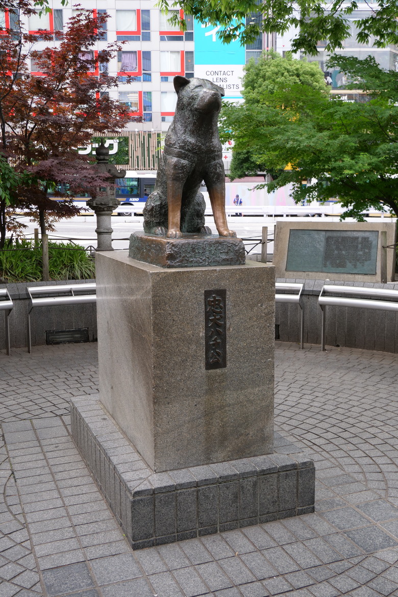 澀谷 宮下公園