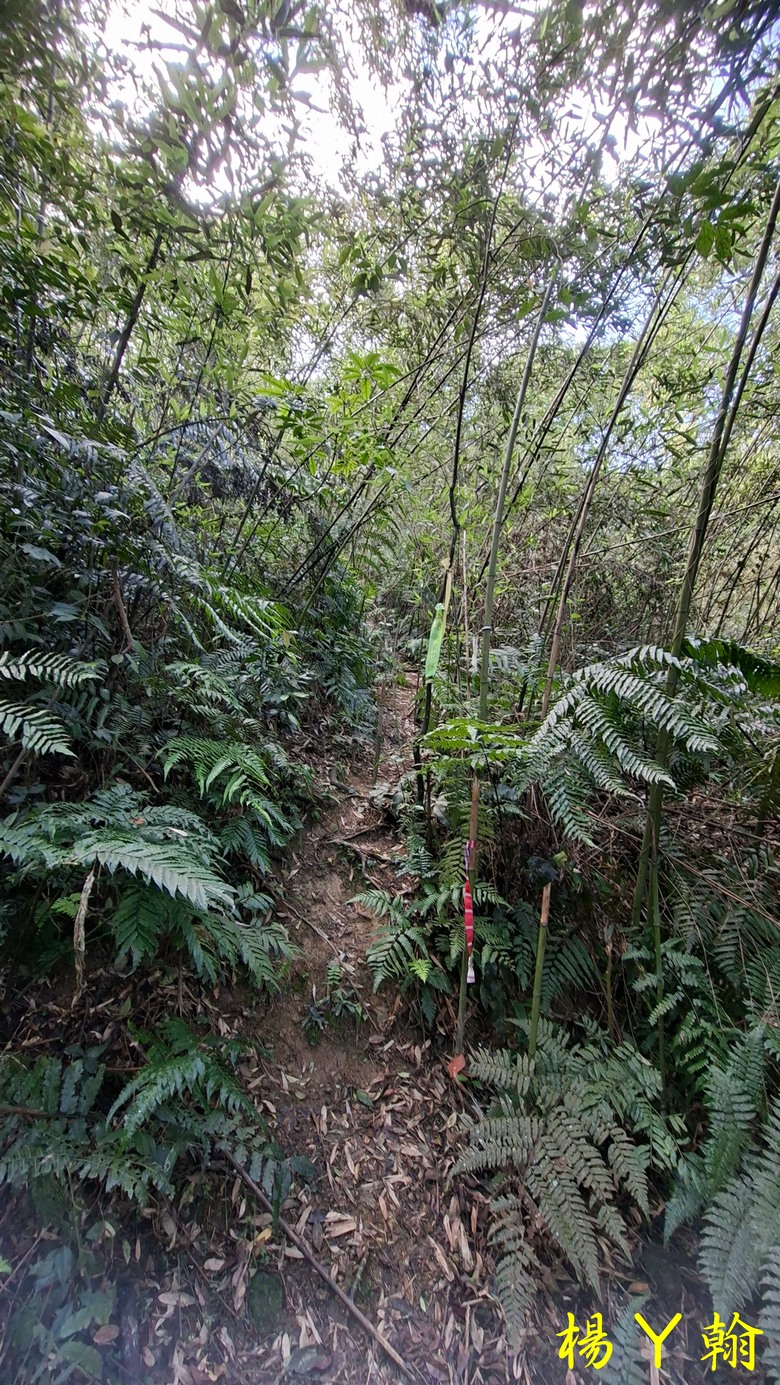 【郊山走走】拉繩攀爬登頂猴山岳前峰,猴山岳連走貓空圓山、岐山古道