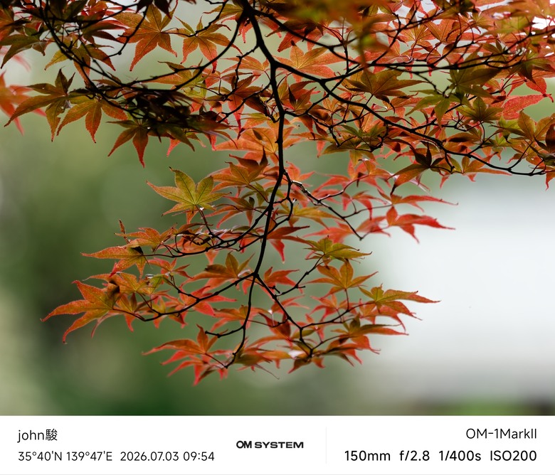 再看一次東京第一日(清澄庭園、藍瓶咖啡、OMSYSTEM PLAZA、炸牛排元村、東京鐵塔)(OM SYSTEM OM-1II、OM-3、OM-5II、TG-7)
