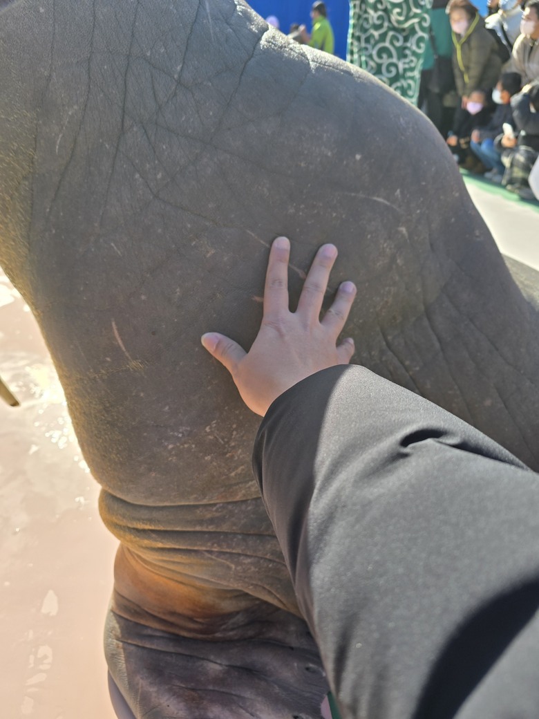 三重縣 伊勢海洋樂園 今天來點不一樣的水族館吧
