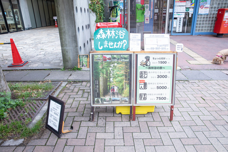 點我看大圖 ✈️ 趕在暑假人潮爆炸前,先衝一波日本下篇~白絲瀑布、花之丘展望纜車、山中湖觀光船、御殿場