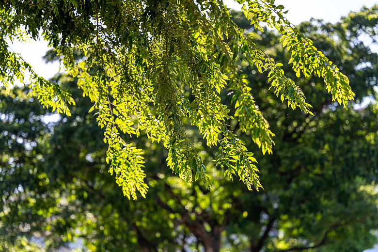 點我看大圖 打破平價鏡頭印象,MEIKE 85mm F1.4 MIX II 展現成熟工藝 ▏開箱實用測試