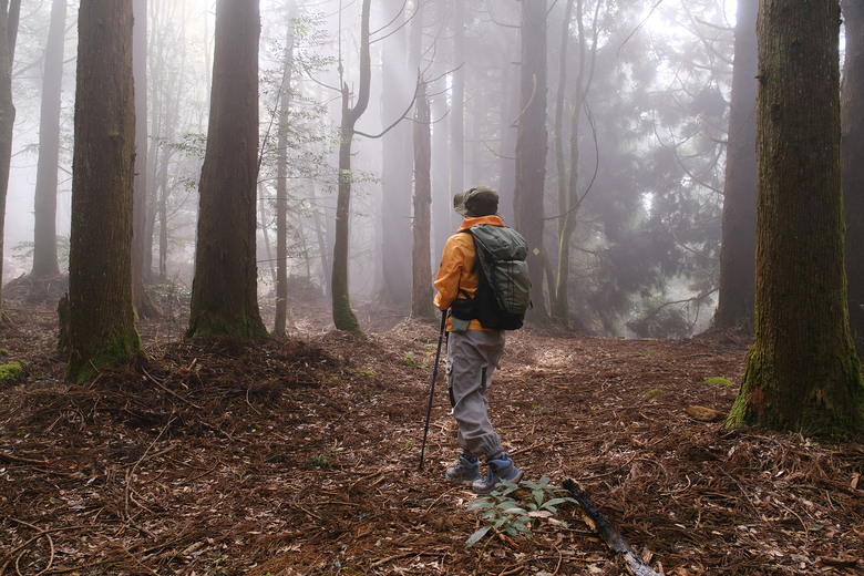【哈加縱走】極具挑戰的中級山縱走路線 | 哈堪尼山.加里山