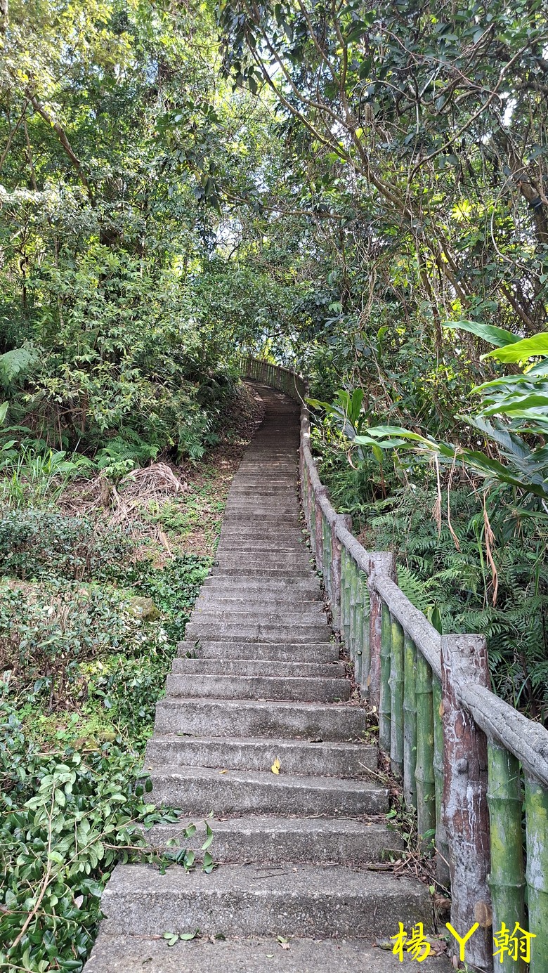 【郊山走走】拉繩攀爬登頂猴山岳前峰,猴山岳連走貓空圓山、岐山古道