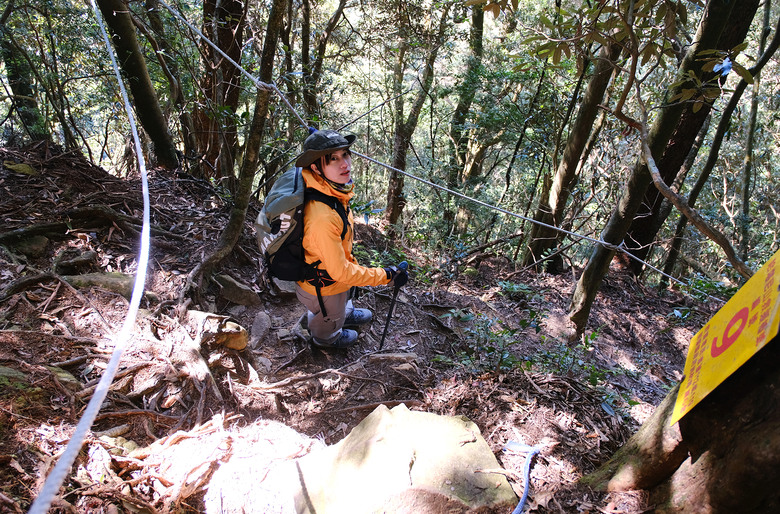 【哈加縱走】極具挑戰的中級山縱走路線 | 哈堪尼山.加里山