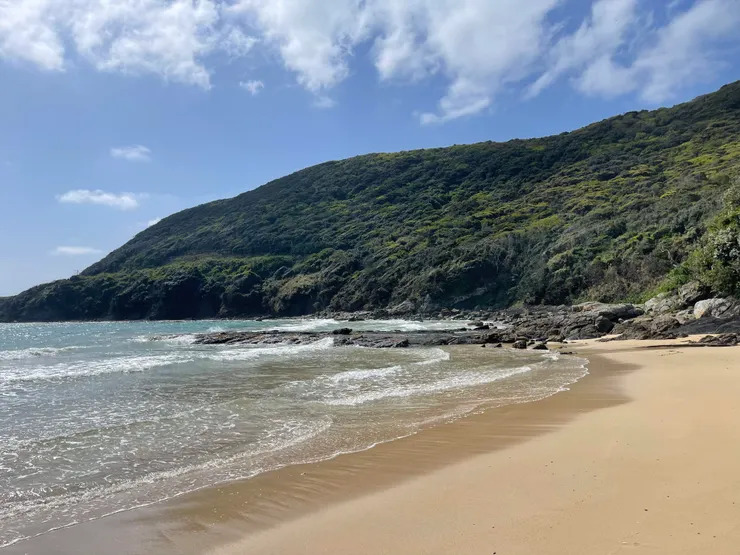 2026/04/20 - 04/25 11:30 日本對馬島順時鐘跑步環島 - 305公里