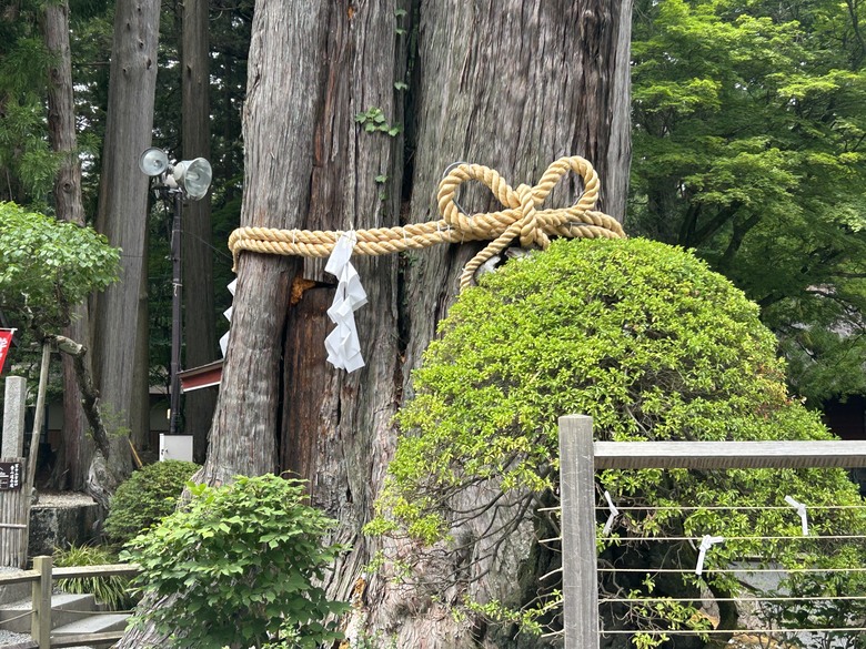 擱一擺雨中挑戰日本之顛-富士山
