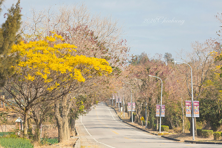 點我看大圖 金門初體驗 - 因為一場馬拉松踏上戰地島嶼