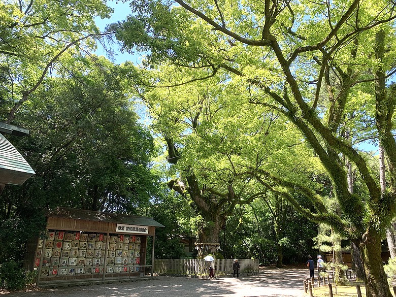 ＜日本＞2024～有個誤會但覺得照片很美的「名古屋一日遊」：東京外星人快閃店、大須觀音、名古屋城(？）、熱田神宮