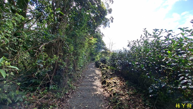 【郊山走走】拉繩攀爬登頂猴山岳前峰,猴山岳連走貓空圓山、岐山古道