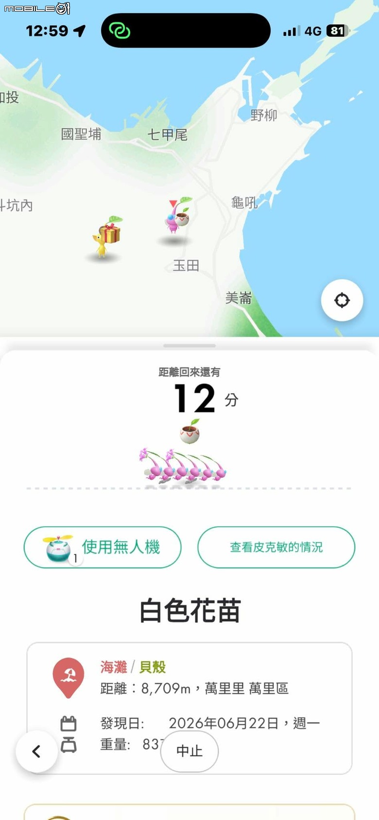 沙灘皮克敏探索之基隆市篇 — 大武崙沙灘與和平島地質公園