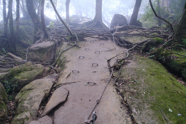 【哈加縱走】極具挑戰的中級山縱走路線 | 哈堪尼山.加里山