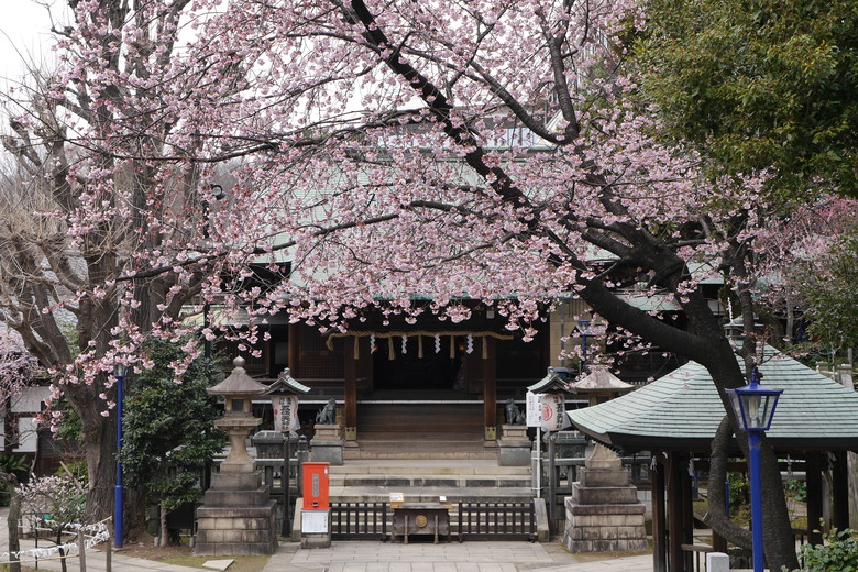 東京的一些旅遊紀錄 上野 都電おもいで広場 都電荒川線 晴空塔