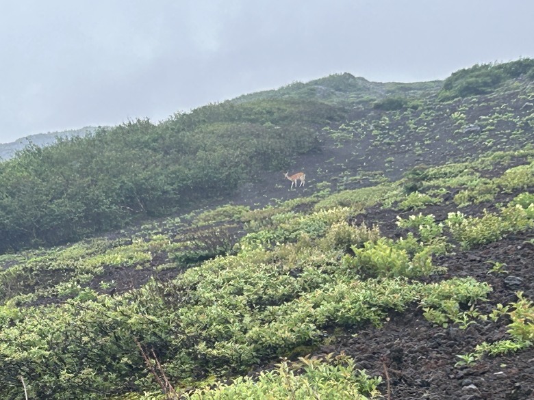 擱一擺雨中挑戰日本之顛-富士山