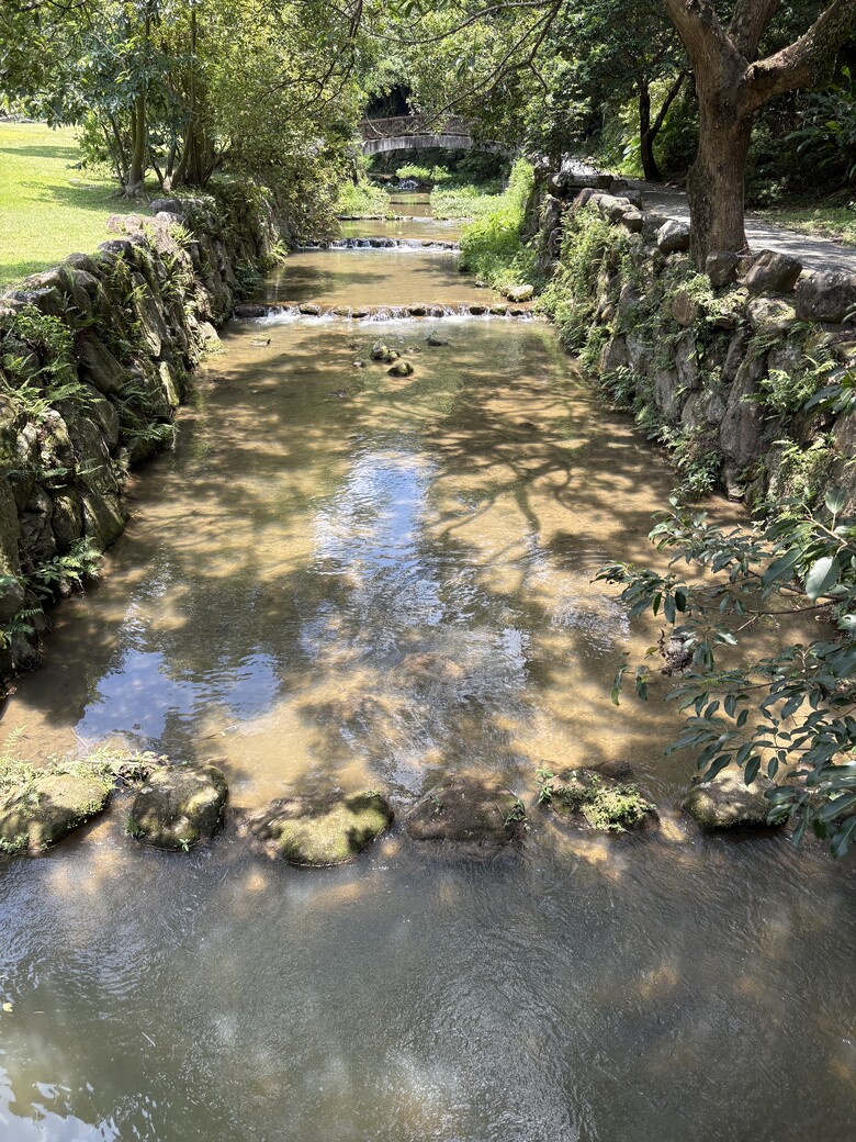 暑假第一站：內湖大溝溪，走進圓覺瀑布的一堂戶外自然課