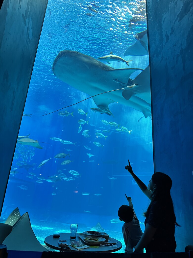 沖繩本島親子自由行|帶孩子玩翻世界文化王國、美麗海水族館!親子度假這樣排超輕鬆