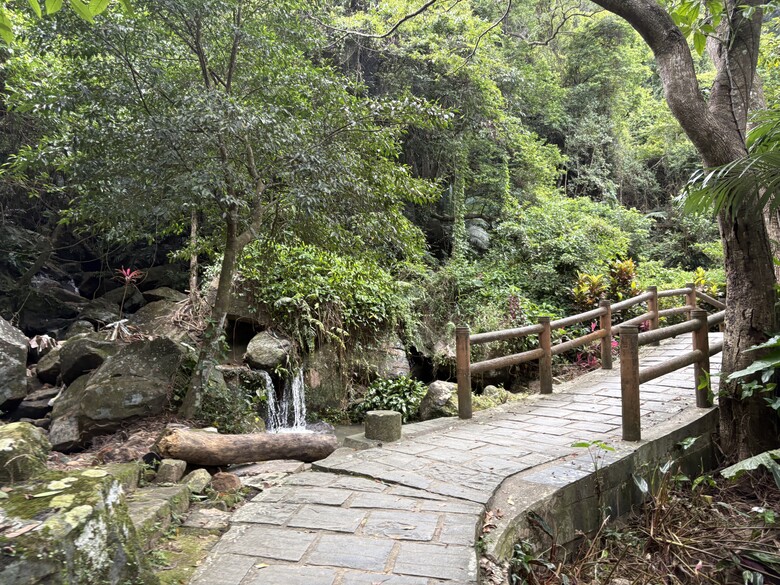 暑假第一站：內湖大溝溪，走進圓覺瀑布的一堂戶外自然課