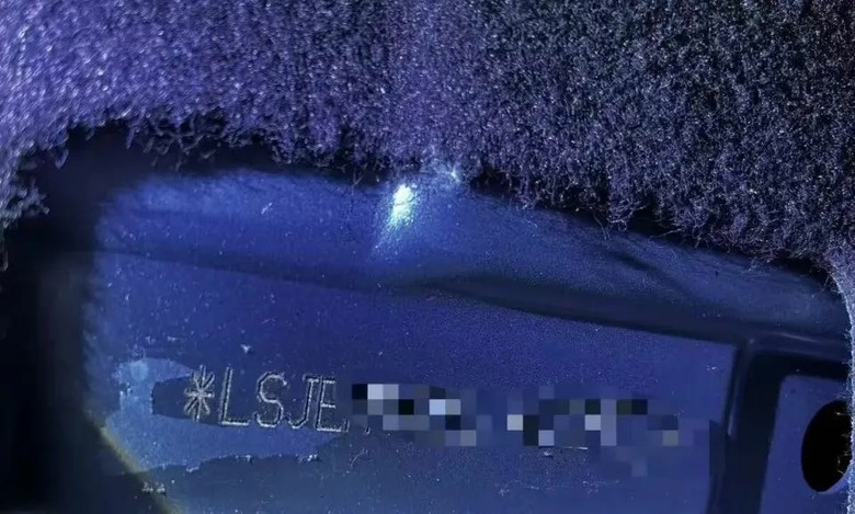掉漆的中國新能源汽車