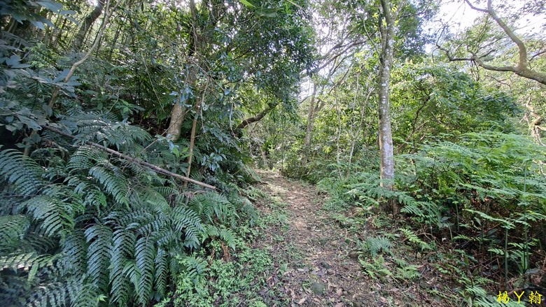 【郊山走走】拉繩攀爬登頂猴山岳前峰,猴山岳連走貓空圓山、岐山古道