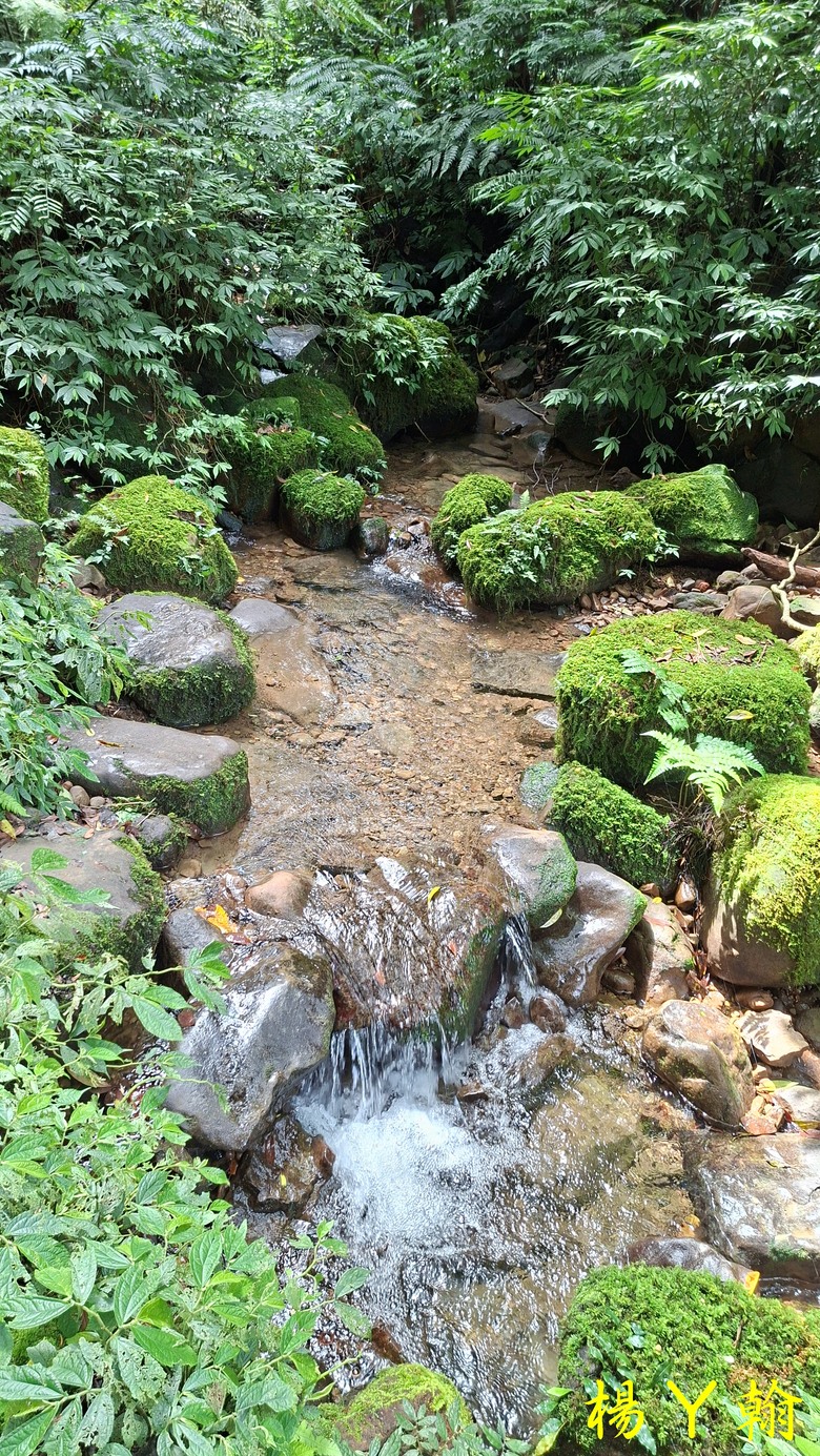 【郊山走走】拉繩攀爬登頂猴山岳前峰,猴山岳連走貓空圓山、岐山古道