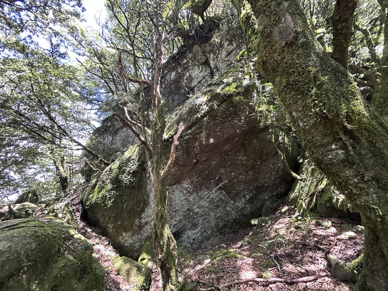 苗 栗 最 高 峰 加 里 山 ( 台 版 富 士 山 )