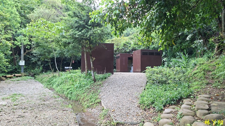【微笑山線】全新登山步道，大湖之森自然步道，輕鬆健行享受森林浴