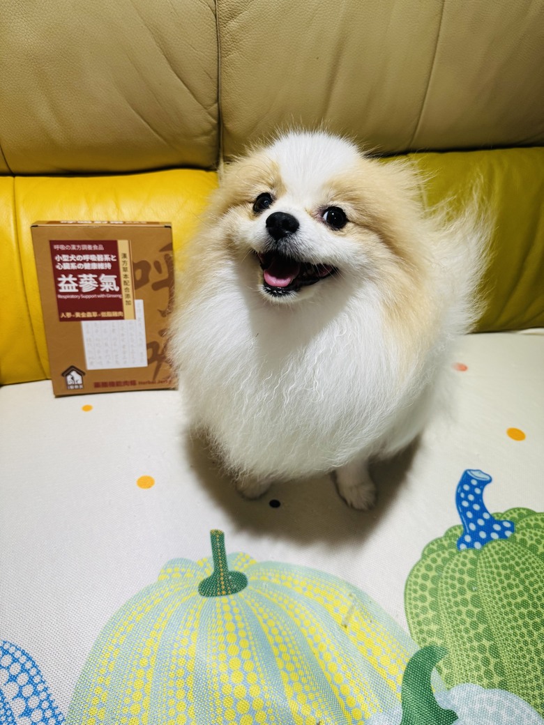 寵樂芙氣管塌陷補品