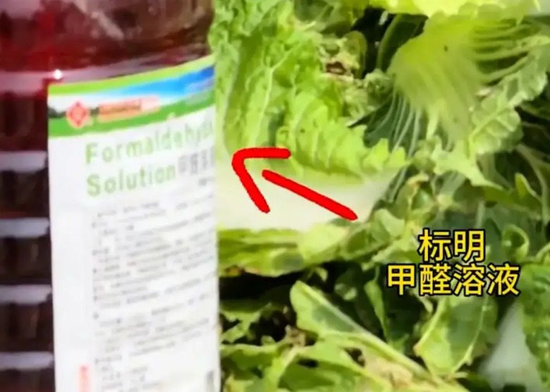 韓國進口泡菜99%中國產 河北毒白菜引恐慌