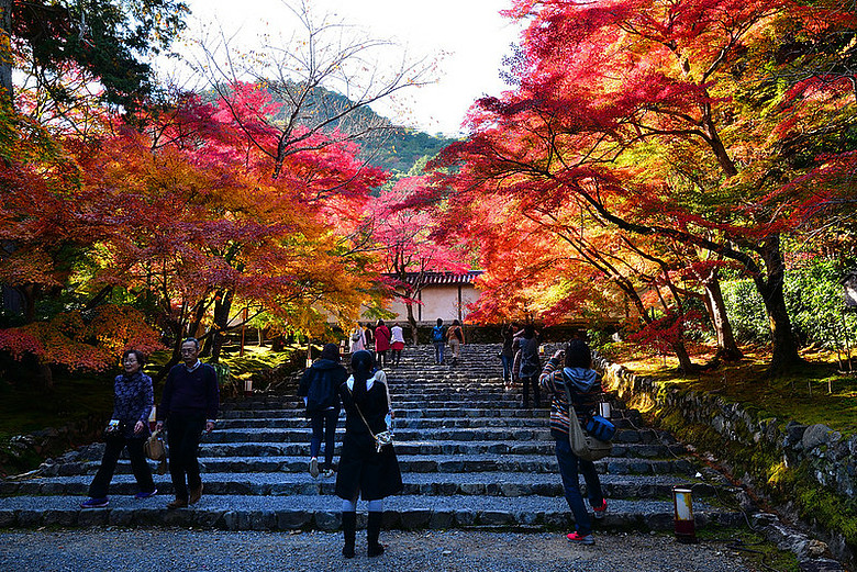 2016 - 秋 - 一個人的旅行 日本關西地區