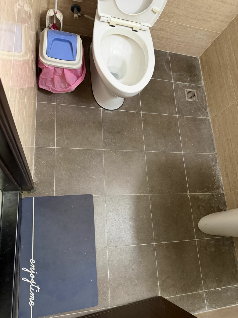 透天樓梯下的廁所
