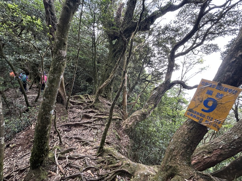 苗 栗 最 高 峰 加 里 山 ( 台 版 富 士 山 )
