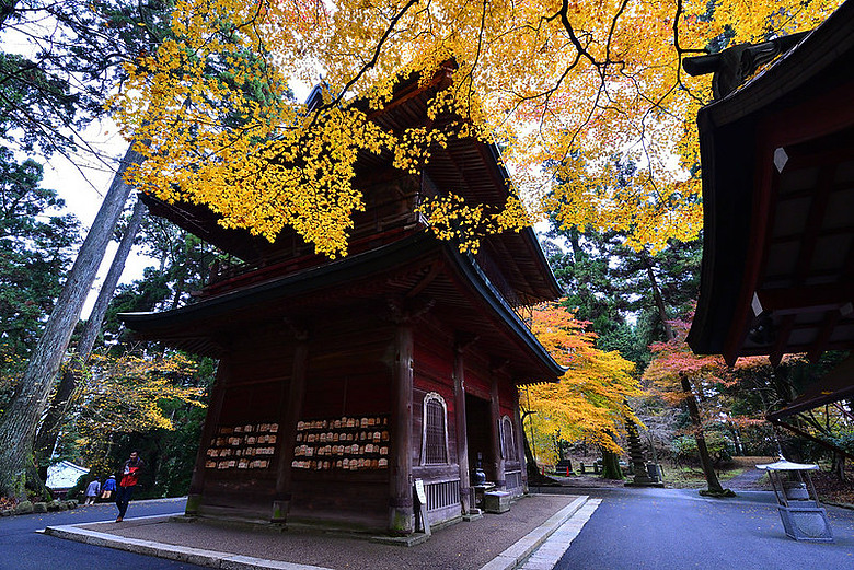 2016 - 秋 - 一個人的旅行 日本關西地區