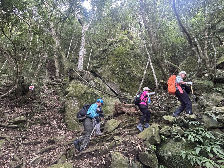 苗 栗 最 高 峰 加 里 山 ( 台 版 富 士 山 )