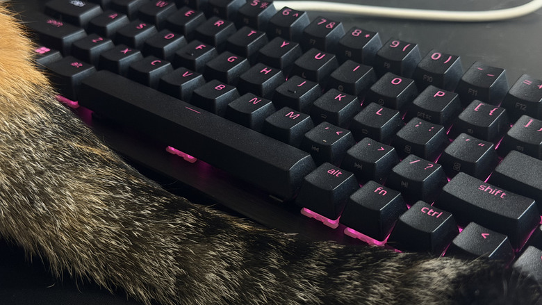 點我看大圖 【開箱|心得】急停再升級?雷蛇全新推出Snap Flex|Razer Huntsman V3 HE 8K
