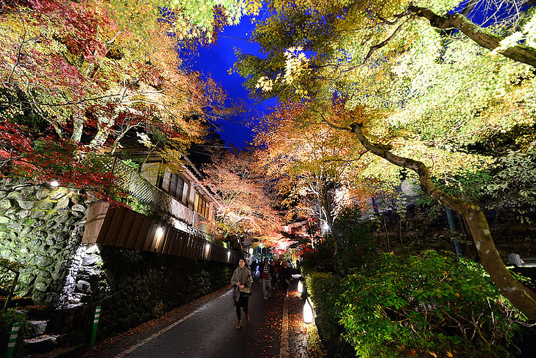 2016 - 秋 - 一個人的旅行 日本關西地區