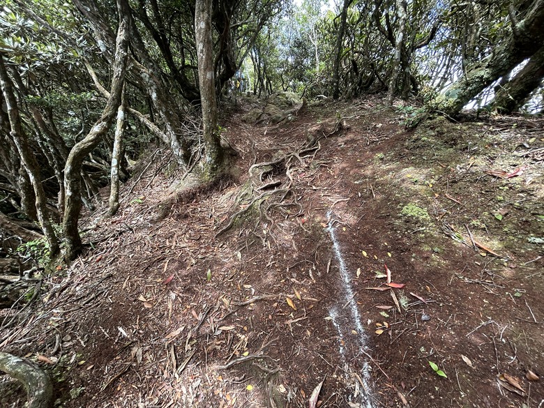 苗 栗 最 高 峰 加 里 山 ( 台 版 富 士 山 )
