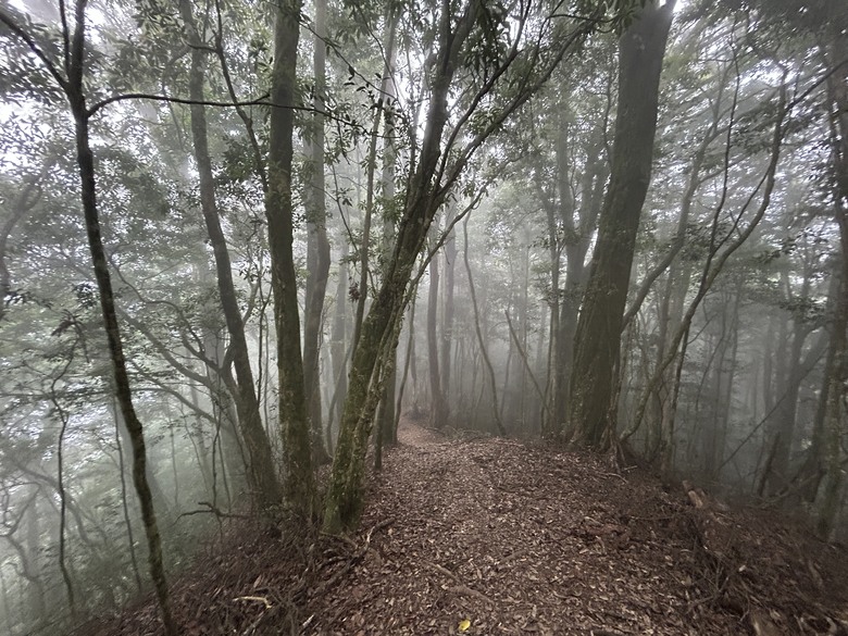 苗 栗 最 高 峰 加 里 山 ( 台 版 富 士 山 )
