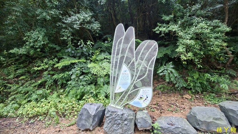 【微笑山線】全新登山步道，大湖之森自然步道，輕鬆健行享受森林浴