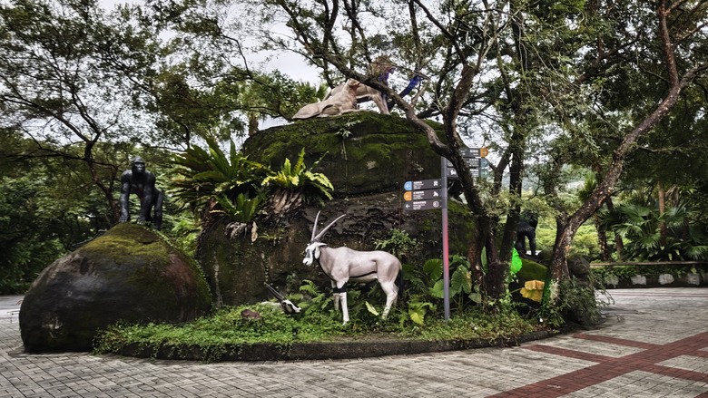 另類的父親節 - 台北市立動物園 "夜之動物園" 遊記分享~
