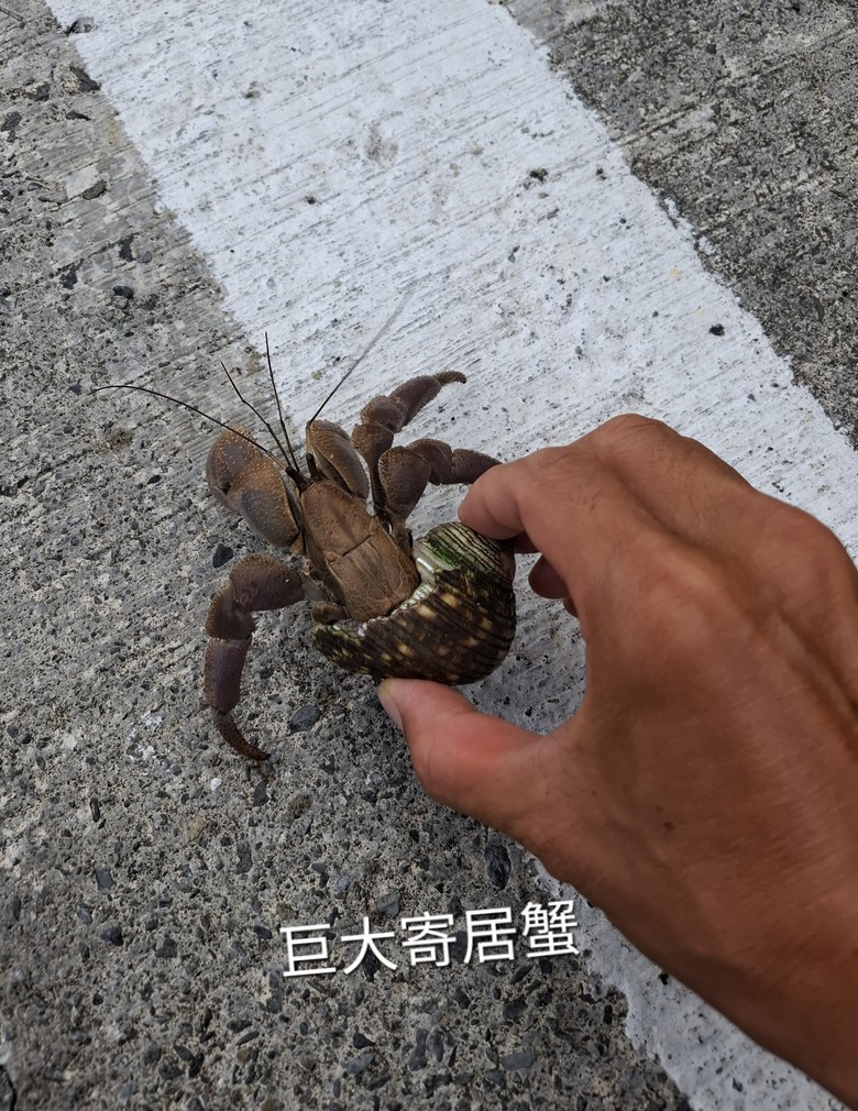蘭嶼。6天5夜