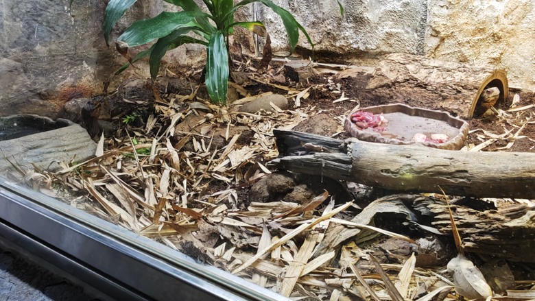 另類的父親節 - 台北市立動物園 "夜之動物園" 遊記分享~