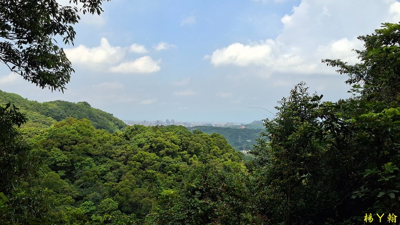 【微笑山線】全新登山步道，大湖之森自然步道，輕鬆健行享受森林浴