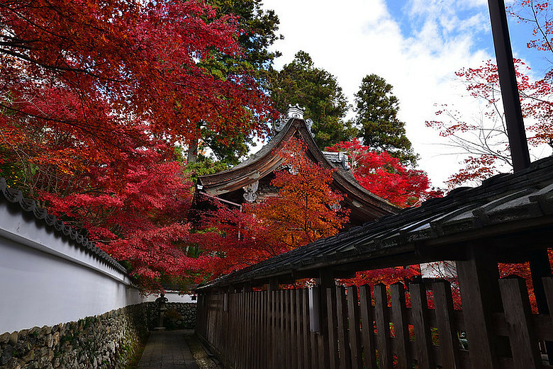 2016 - 秋 - 一個人的旅行 日本關西地區