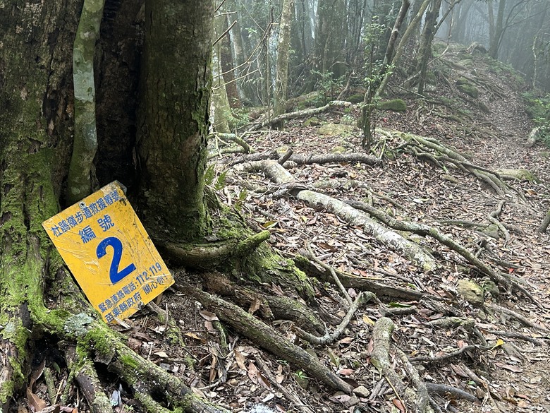 苗 栗 最 高 峰 加 里 山 ( 台 版 富 士 山 )