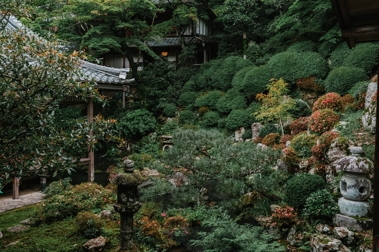 點我看大圖 SONY A7V + SIRUI Aurora 35mm F1.4 實拍分享