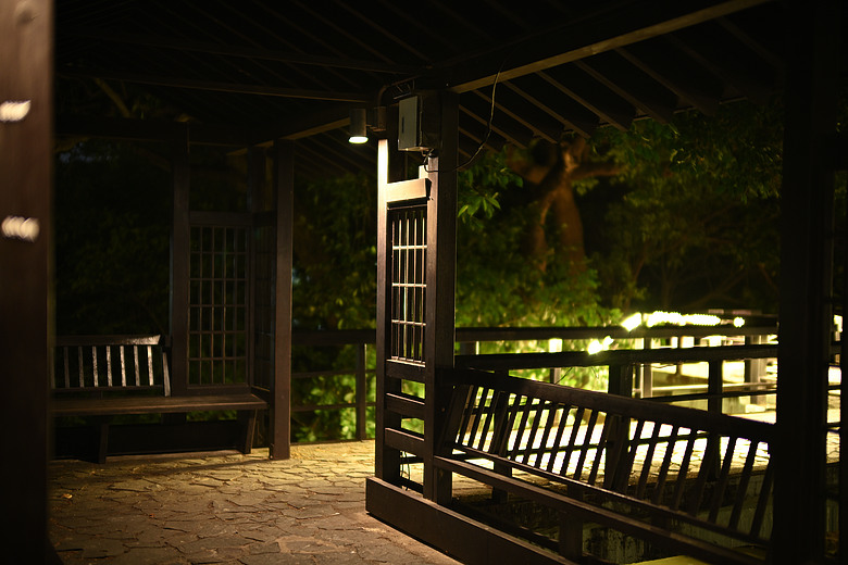 ZF+LAOWA Argus 45mm f/0.95 麗池-夜