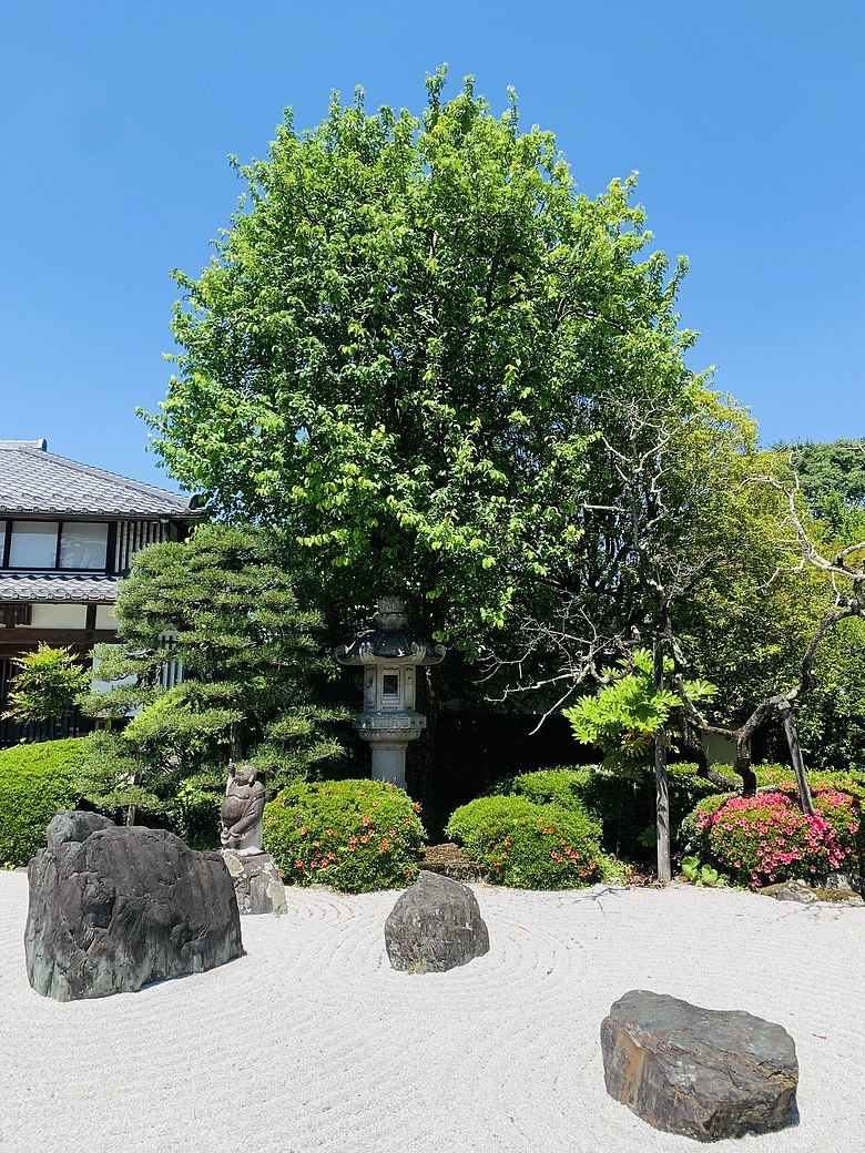 點我看大圖 <日本>2024~仙台體育館排球少年聖地巡禮、松音寺、仙台商店街魚板老店